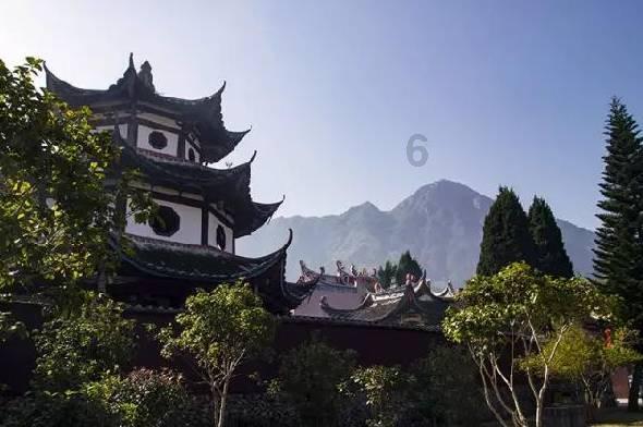凌晨四点接警说在路上捡了头驴?民警抵达现场后发现是头骡子